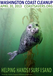 Washington Coast Cleanup 2013