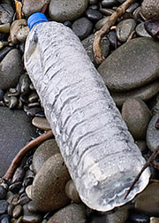 Learn about marine debris.