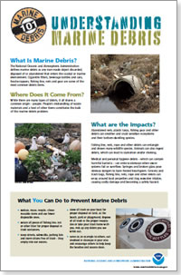 Understand marine debris. Get the resources you need.
