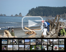 See what a beach cleanup is like.