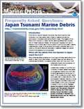 NOAA Tsunami Flyer